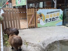 -廊坊固安福朋喜来登酒店