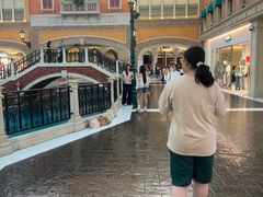 -澳门威尼斯人综合度假区