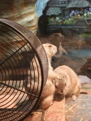 -Zoolung Zoolung动物主题公园(海信广场店)