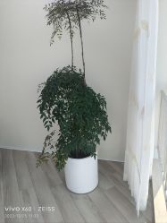 -HEYAN荷妍专业脱毛连锁机构