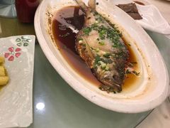 -同济大酒店(绿宝广场店)