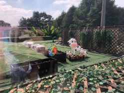 -卓玥国际月子会所(罗山路店)
