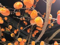 -北平食坊·烤鸭(黄寺大街店)
