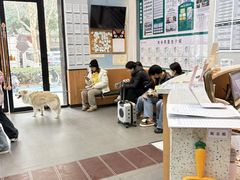 -联合动物医院(光谷诊疗中心)