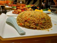 -素虎小呆鸟(西二旗店)