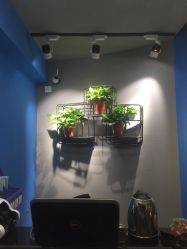 点击看大图 -哈尼Honey baby 儿童摄影(立丰国际公寓店)