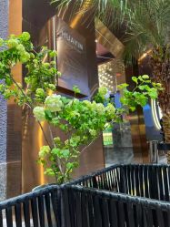 -花隐·美芙炫海菲秀皮肤管理中心