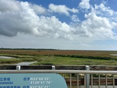 -盐城丹顶鹤湿地生态旅游区
