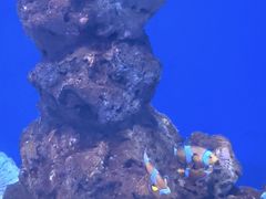 -南昌融创海世界