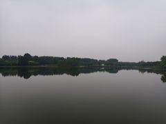 -东郊湿地公园