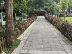 -野象谷景区