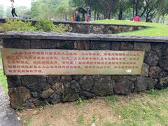 -王借岗森林公园