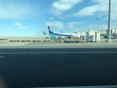 -全日本空输株式会社(上海办事处)