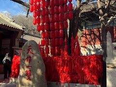 -丽泽山庄·生态怀柔菜·虹鳟鱼(红螺寺店)
