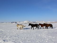 -塞罕坝国家级自然保护区