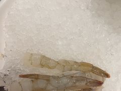 -一绪に寿喜烧(虹悦城店)