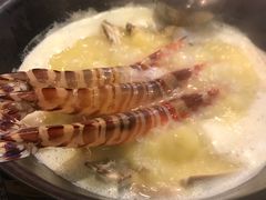 -鲜入围煮花胶鸡海鲜火锅