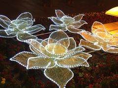 -金山植物公园