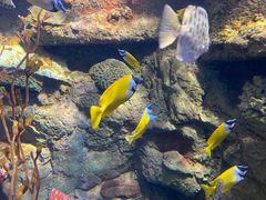 -太平洋海底世界