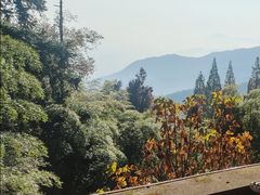 -莫干山风景区