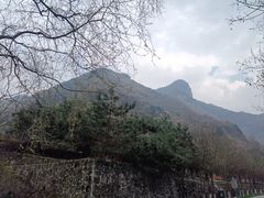 -少华山国家森林公园