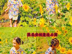 -汉长安城未央宫国家考古遗址公园