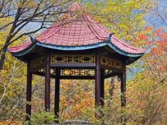 -本溪汤沟绿石谷森林公园