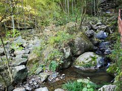 -藏龙百瀑风景区