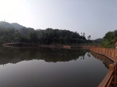 -神光山国家森林公园