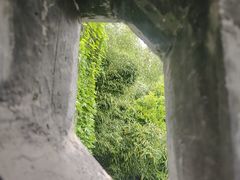 -何园