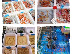 -清平路水族市场