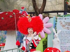 -灵玲国际马戏城