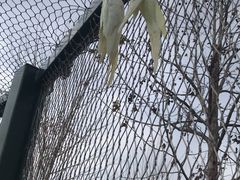 -南京枫彩漫城