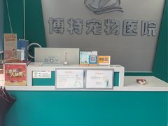 -博特宠物医院24h犬猫全科.骨科·异宠