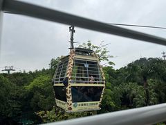 -广州长隆野生动物世界