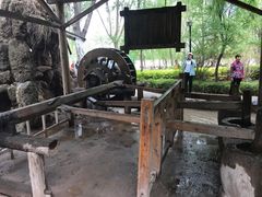 -水车博览园