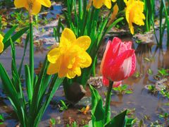 -北京植物园南门售票处