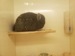 -龙猫仔乐园(惠福东路店)