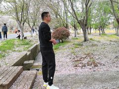 -天王浮山樱花园