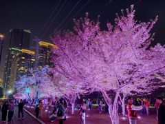 -西北湖绿化广场
