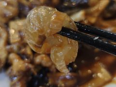 海参过油肉-京天红酒家(虎坊路店)