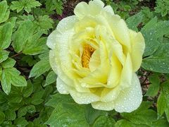 -狼山风景名胜区