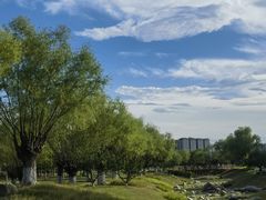 -汉长安城未央宫国家考古遗址公园