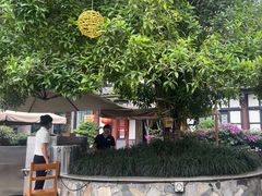 -高坎一品甲鱼庄(两河店)
