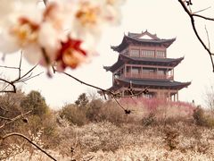 -南京市无想山景区