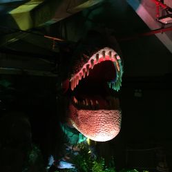 -恐龙探索乐园(磁器口店)