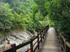 -广州白江湖森林公园