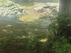 -关门山森林公园