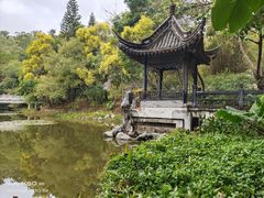 -深圳国际园林花卉博览园