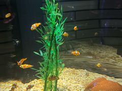 -成都浩海立方海洋公园